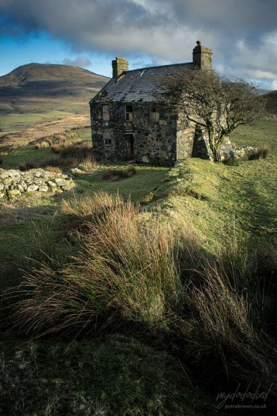 A stone cottage in a stony field.