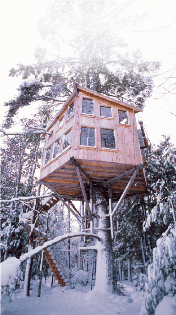 A tree house picture with the first fallen snow 