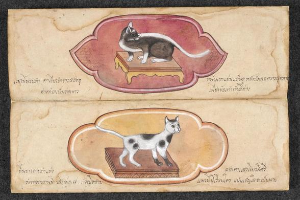 Manuscript illustration of cat