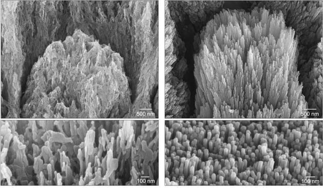 Electron microscopy images of a tooth with demineralized enamel (left) and a similar demineralized tooth after a 2-week treatment (right) – credit, Univ of Nottingham