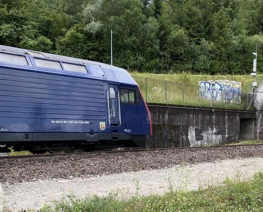 Locomotive Re 450 devant une forêt 