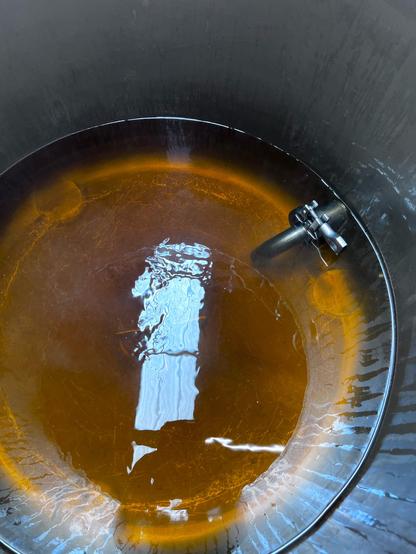 Golden sweet wort collecting in the grant. Shiny stainless steel and reflections of the skylights from our factory setting are visible.