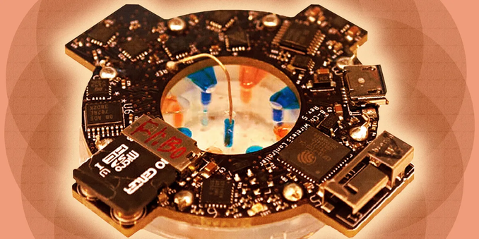 Smart Bandage Delivers Electricity and Drugs to Heal