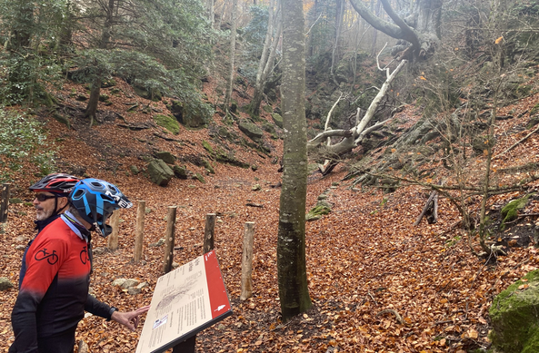 Un plafó explicatiu demana als visitants que respectin el Faig Pare i no s'apropin a les arrels (3CatInfo)