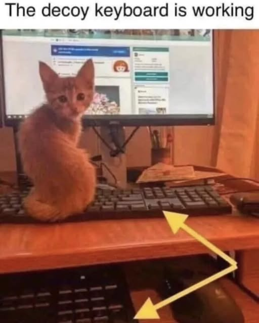 A humorous photo of a home office setup. Text at the top reads, "The decoy keyboard is working". A small orange kitten is sitting directly on top of a black keyboard on the main desk, looking back at the camera. A computer monitor with a webpage is visible behind the kitten. Two large yellow arrows point from the kitten on the "decoy" keyboard down to a keyboard tray under the desk, where a second keyboard (presumably the one in use) is located.