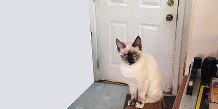 Cleo, standing guard.