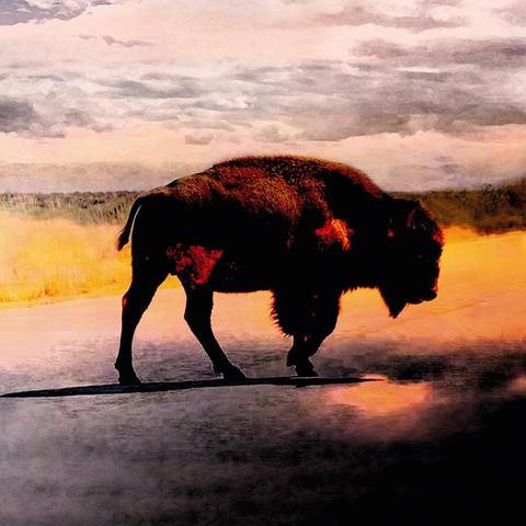 An image of the cover of the record album 'Saving Grace' by Robert Plant