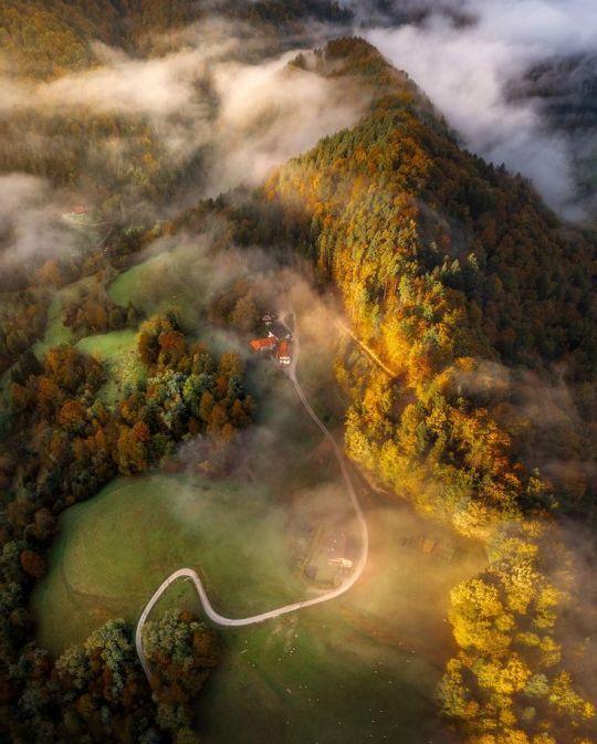 An aerial view of a a misty valley in autumn, with a road leading to a red-roofed house in the centre.
