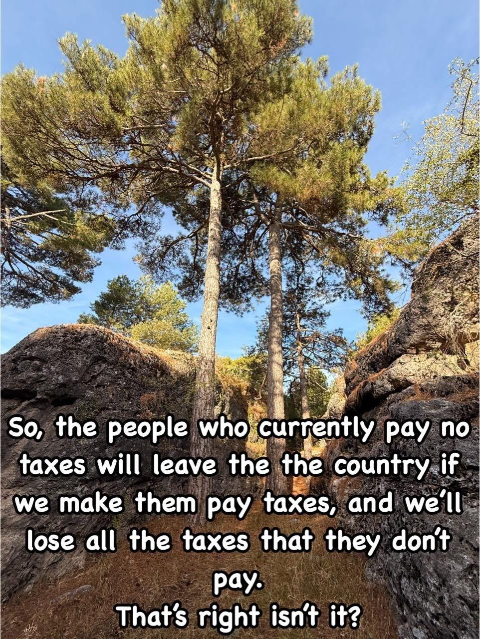 A photograph of tall pine trees rising between rocky outcrops under a clear blue sky. Sunlight filters through the branches, illuminating the rocks and dry grass below. Overlaid on the lower half of the image is large white text with a black outline that reads:
“So, the people who currently pay no taxes will leave the country if we make them pay taxes, and we’ll lose all the taxes that they don’t pay. That’s right isn’t it?”
