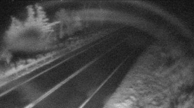 Traffic cam looking west overlooking the winding Highway 33 on the shore of Lake Ontario. // Image captured at: 2025-11-16 00:53:34 UTC (about 7 min. prior to this post) // Current Temp in Napanee: 44.29 F | 6.83 C // Precip: light rain // Wind: SE at 7.426 mph | 11.95 kph // Humidity: 99%