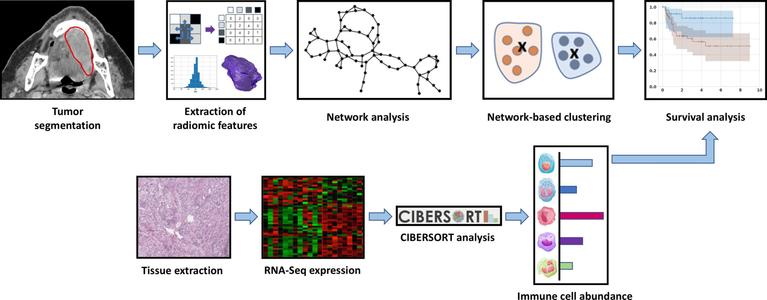 Radiomic clustering using graph network techniques coupled with unbalanced optimal transport. Computational and Structural Biotechnology Journal, DOI: https://doi.org/10.1016/j.csbj.2025.10.066

