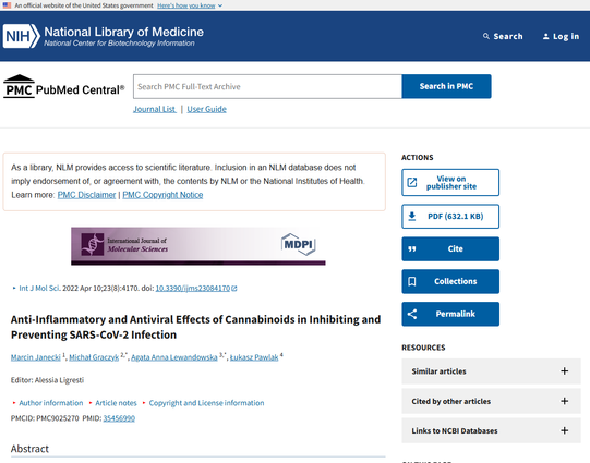 The COVID-19 pandemic caused by the SARS-CoV-2 virus made it necessary to search for new options for both causal treatment and mitigation of its symptoms. Scientists and researchers around the world are constantly looking for the best therapeutic options. These difficult circumstances have also spurred the re-examination of the potential of natural substances contained in Cannabis sativa L. Cannabinoids, apart from CB1 and CB2 receptors, may act multifacetedly through a number of other receptors, such as the GPR55, TRPV1, PPARs, 5-HT1A, adenosine and glycine receptors. The complex anti-inflammatory and antiviral effects of cannabinoids have been confirmed by interactions with various signaling pathways.