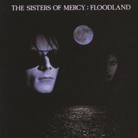 An image of the cover of the album 'Floodland' by The Sisters of Mercy