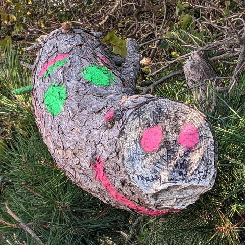 A cut tree branch nestled among pine needles has been painted to resemble a whimsical face. The flat end of the branch shows two bright pink circles for eyes and a curved pink smile below. Additional neon green and pink paint patches decorate the bark, giving the branch a playful, character-like appearance against a backdrop of leaves and twigs.