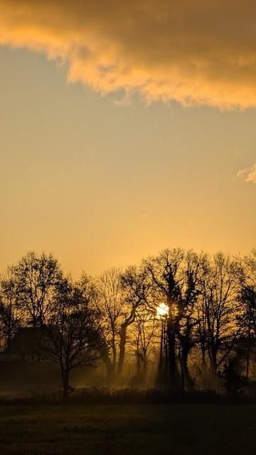 Ein goldener Sonnenaufgang über dem Feld neben unserer Firma