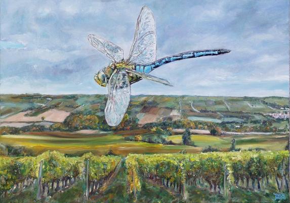 Painting of a huge dragonfly in flight over the vineyards in Selz valley, Ingelheim, Germany. Animal art by Jura Kuba for sale. Oil on canvas, 70 x 50 cm.
