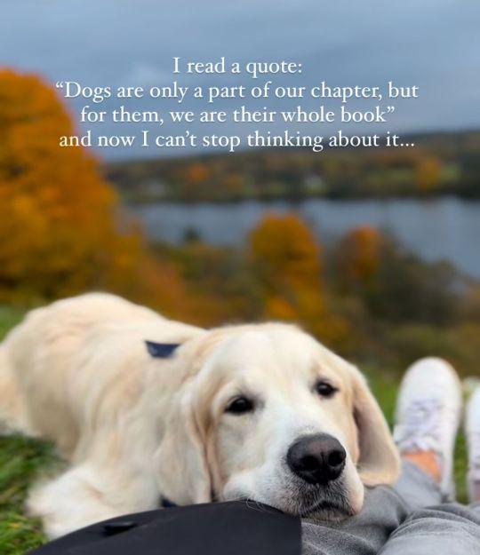 I read a quote:
"Dogs are only a part of our chapter, but
for them, we are their whole book”
and now I can't stop thinking about it...