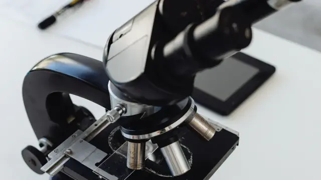 Exploring the Latest Breakthroughs in Digital Pathology