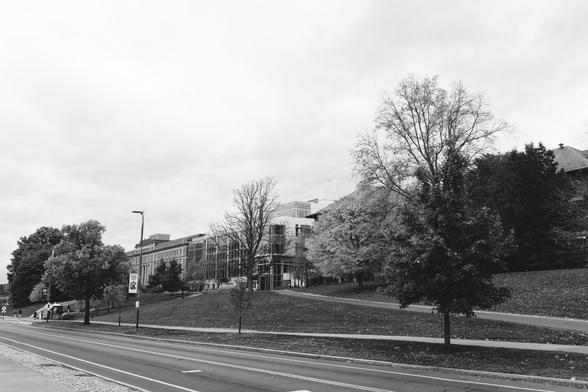 Road runs from the bottom to a vanishing point at the lower left and past that a slope where parts of a few buildings which are striking and/or hidden in front of them monochrome trees some with no leaves otherss with strikingly different levels of brightness.