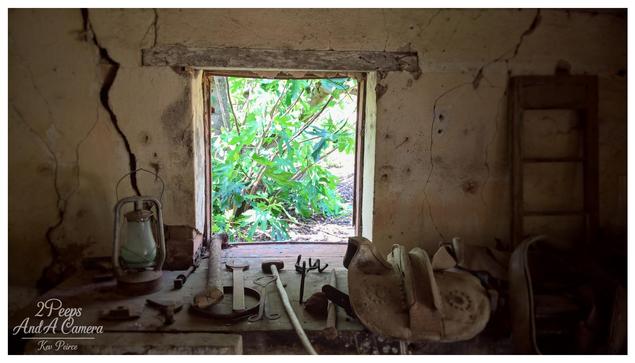 Interior shot of a rustic, stone room at Langmeil Winery looking out through a small window opening overgrown with bright green foliage.

The cracked window sill is cluttered with antique objects, including a rusty kerosene lantern on the left, an old saddle on the right, and various weathered metal farming tools.
