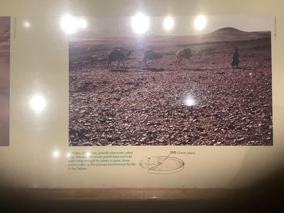 #sahara (/səˈhɑːrə/, /səˈhɛrə/) is a desert spanning across North Africa. With an area of 9,200,000 square kilometres (3,600,000 sq mi), it is the largest hot desert in the world and th