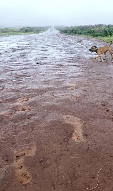 Enormes huellas de un hombre grande de campo en la tierra