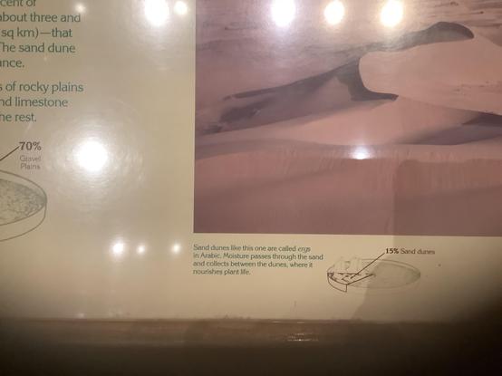  like this one are called #ergs in Arabic moisture  passes through the sand and collects between the dunes where it nourishes plant like #sanddunes