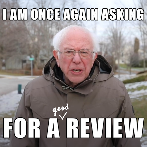 Bernie meme