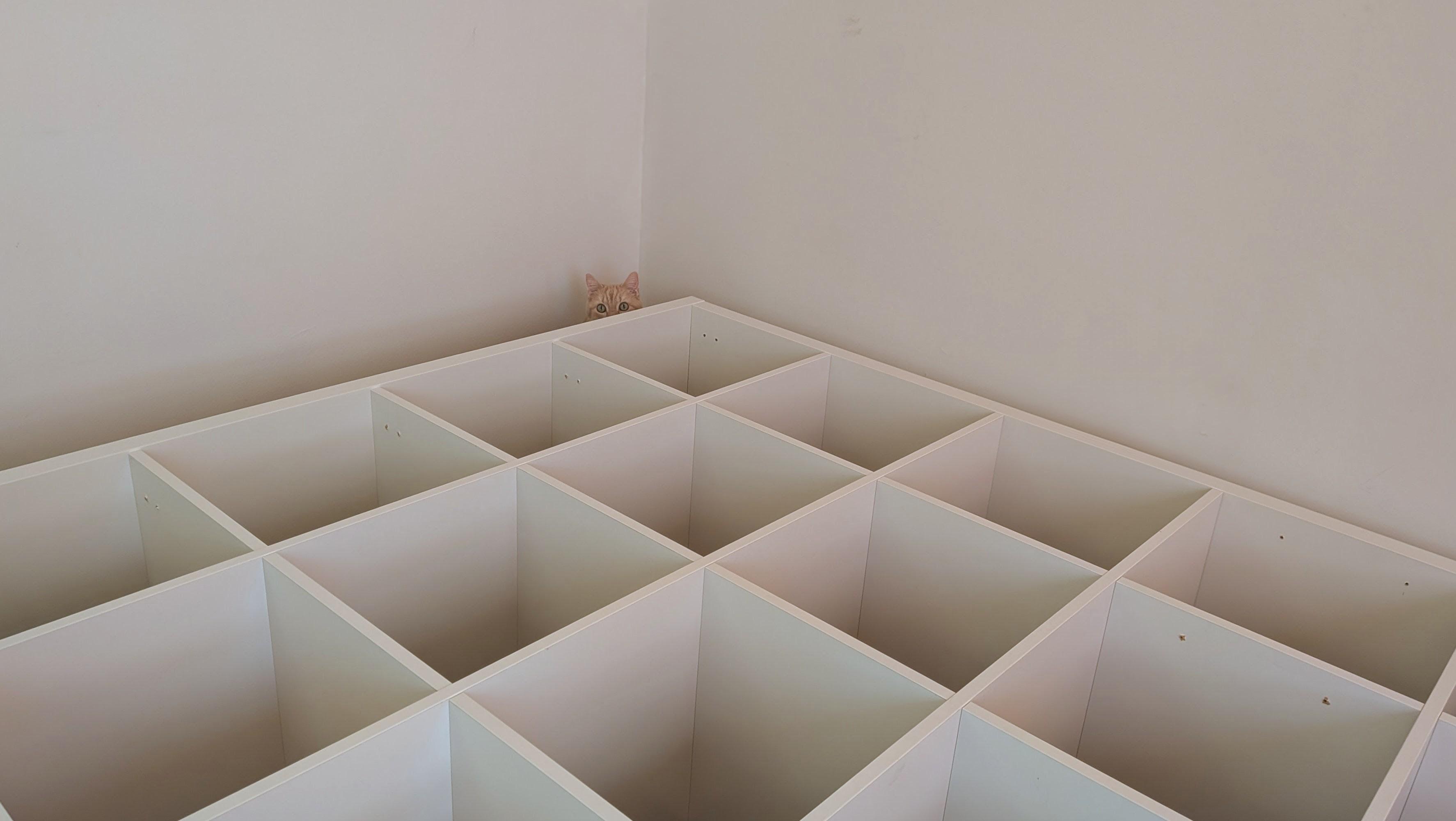 Structure d'étagère blanche posée au sol formant une succession d'alvéoles carrées. Au fond dépasse le haut de la tête d'un chat avec les yeux inquiets.