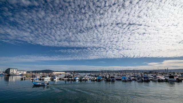 Bote azul navegando por el puerto.
