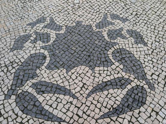 A design of a crab in black paving stones, surrounded by white paving stones
