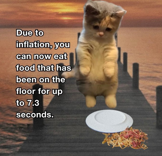 A meme featuring a small kitten standing on its hind legs on a wooden dock at sunset, looking down at a pile of spaghetti on the ground next to an empty plate. The text reads, "Due to inflation, you can now eat food that has been on the floor for up to 7.3 seconds."