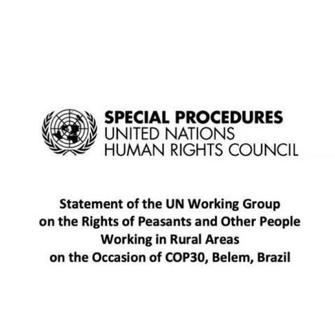 🇺🇳 #COP30 Statement of the @UN_WGPeasants UN | OHCHR | Working Group on the Rights of Peasants and Other People Working in Rural Areas on the Occasion of COP30 in Belem, Brazil
➡️ https://www.ohchr.org/sites/default/files/documents/issues/peasants/2025-wg-peasants-cop30-wg-stm-fin-en.pdf

#UNDROP #PeasantsRights
#PeasantsRightsNOW #ClimateJustice #SocialJustice #ClimateAction #JustTransition 
