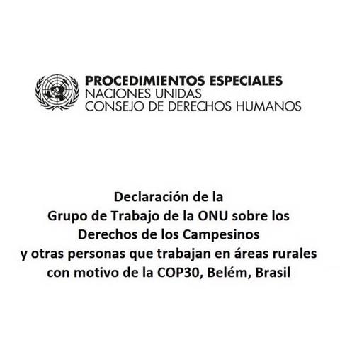 🇺🇳 Declaración de la Grupo de Trabajo de la ONU sobre los Derechos de los Campesinos y otras personas que trabajan en áreas rurales con motivo de la #COP30, Belém, Brasil
➡️ https://www.ohchr.org/sites/default/files/documents/issues/peasants/2025-wg-peasants-cop30-wg-stm-fin-es.pdf
#UNDROP #DerechosCampesinos
#DerechosCampesinosYA