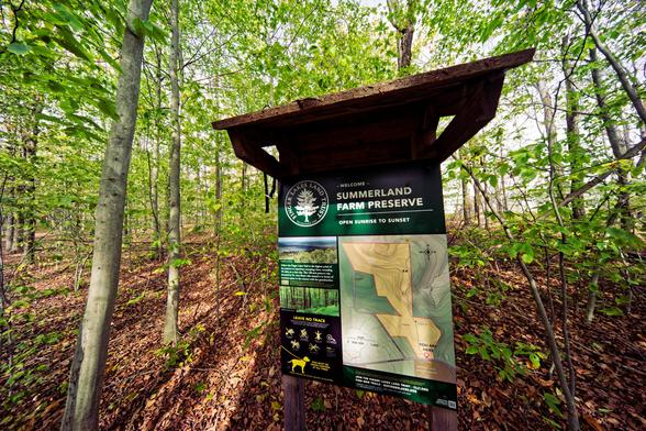 A Kiosk looks small and compressed in the center showing a map of the Summerland Farm Preserve and a logo with a circle surrounding a tree;  te sign is surrounded by young trees with light green leaves