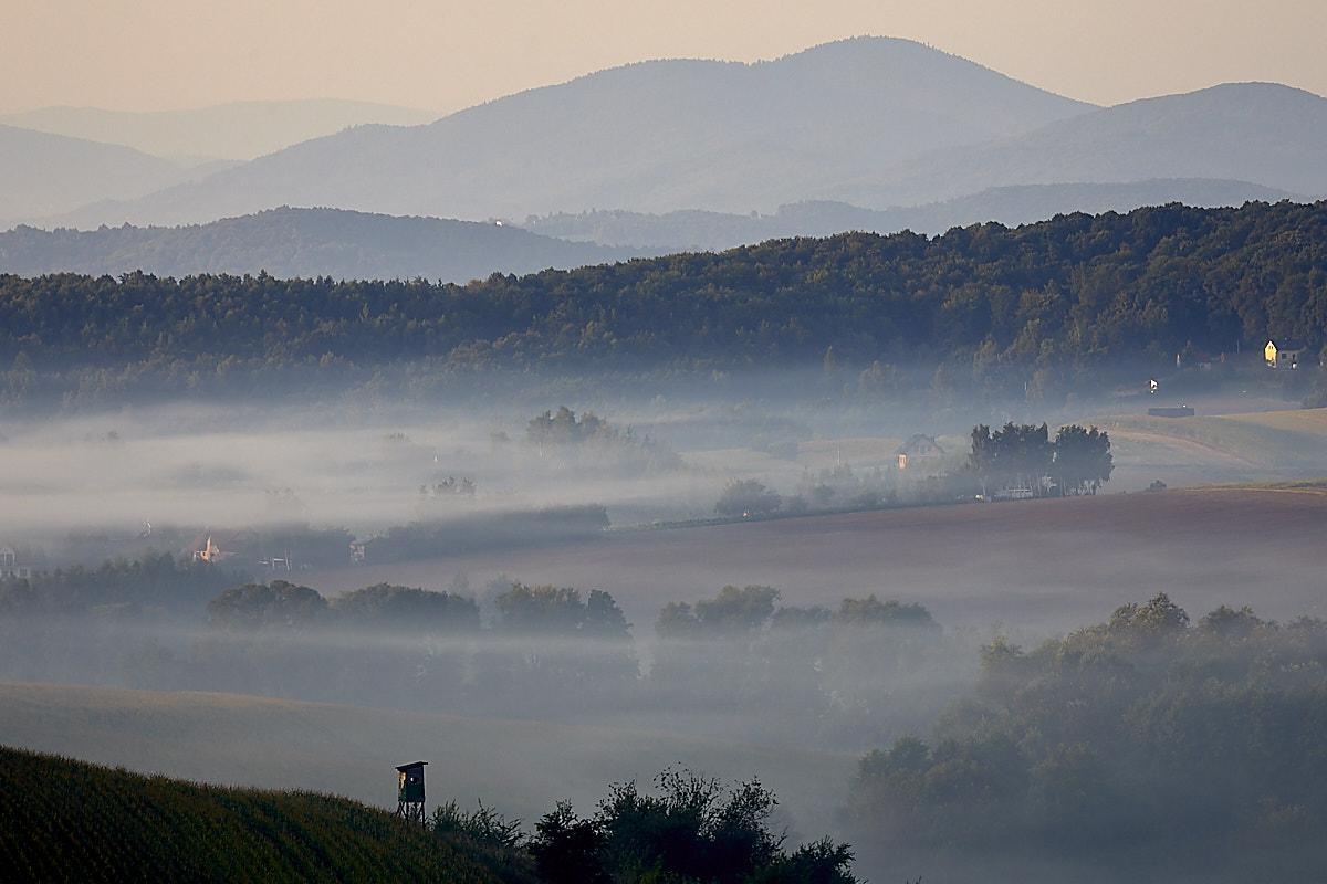 The photo shows a peaceful, mist-shrouded landscape with gently rolling hills stretching into the distance. Soft morning light bathes the scene in pale pastel tones, creating a calm atmosphere. Multiple rows of rolling, wooded hills stretch towards the horizon, each layer fading slightly and growing lighter the further back it recedes, enhancing the sense of depth. In the foreground, grassy fields and scattered bushes are partially obscured by horizontal streaks of thin ground fog. Near the bottom left corner, a small wooden hunting platform stands alone on a sloped grassy patch, emphasising the tranquil solitude of the place.