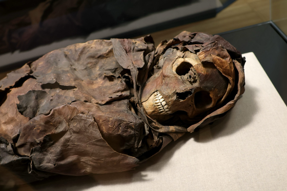 Momie guanche Espagne 