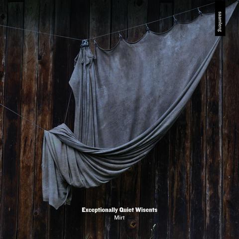 Album artwork, close-up photo of an old wooden wall with an old curtain hanging