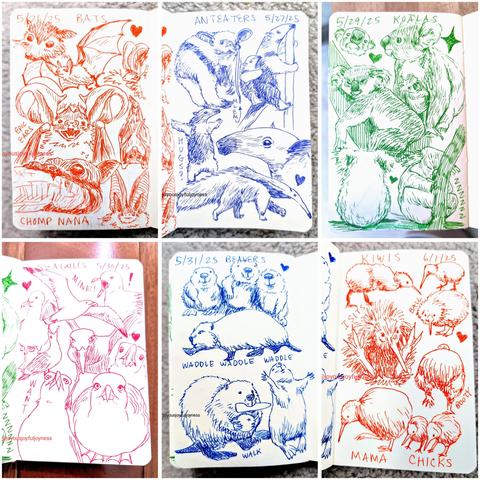 Compilation of 6 photos of sketchbook pages. Top row consists of sketches of bats, anteaters and koalas. Bottom row consists of drawings of seagulls, beavers and kiwi.