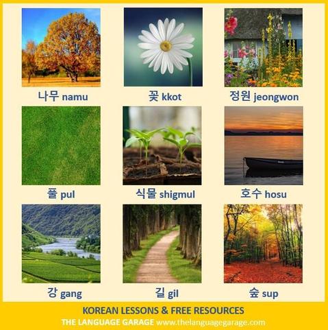 Korean nature vocabulary, images of a tree, a flower, a river, and other natural features