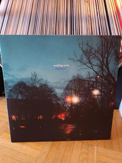 Das Bild zeigt ein Albumcover mit dem Titel „nothing to be sad about“ (kein Grund zur Traurigkeit) und einer stimmungsvollen Nachtlandschaft. Dunkle Bäume rahmen die Szene ein, in der sich Lichter subtil auf einer nassen Oberfläche spiegeln. Der Hintergrund besteht aus verschwommenen Regalen mit Schallplatten.