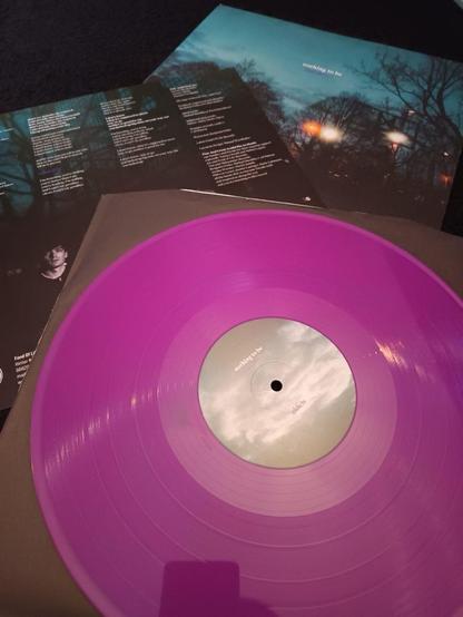 Nahaufnahme einer leuchtend pinkfarbenen Schallplatte in einer braunen Hülle, im Hintergrund sind das Albumcover und der Liedtext zu sehen. Das Cover zeigt eine stimmungsvolle Landschaft in der Dämmerung.