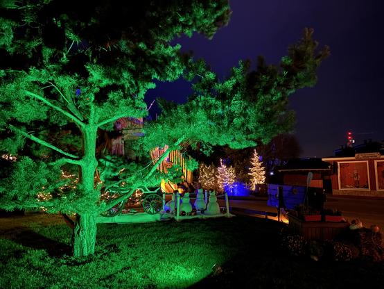 An alley in the park at night: a tree illuminated in green up front, with Christmas trees behind it festooned with little white lights and other seasonal decorations.