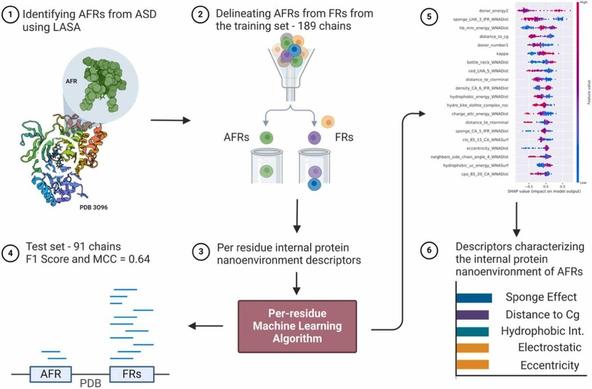 Protein allosteric site identification using machine learning and per amino acid residue reported internal protein nanoenvironment descriptors. Computational and Structural Biotechnology Journal, DOI: https://doi.org/10.1016/j.csbj.2024.10.036