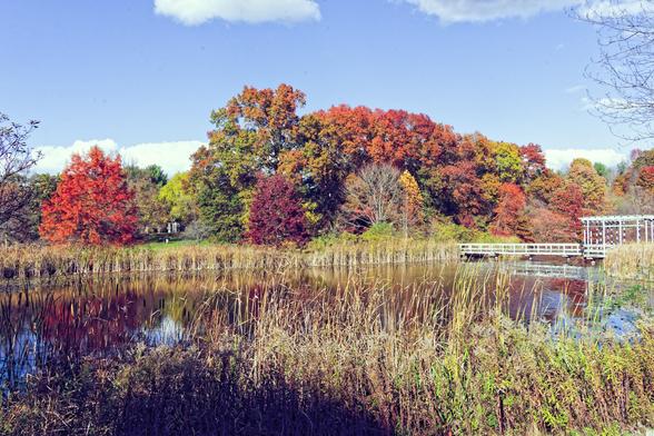 At the bottom and in front a thin patch of dried up grass and then a reflecting pond of irregular shape and past that more grass a big cluster of various colored trees as well an orange one all by itself under a blue sky