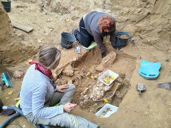 L'ONU va recordar al govern espanyol el 2024 que té l'obligació de preservar la memòria històrica (Europa Press)