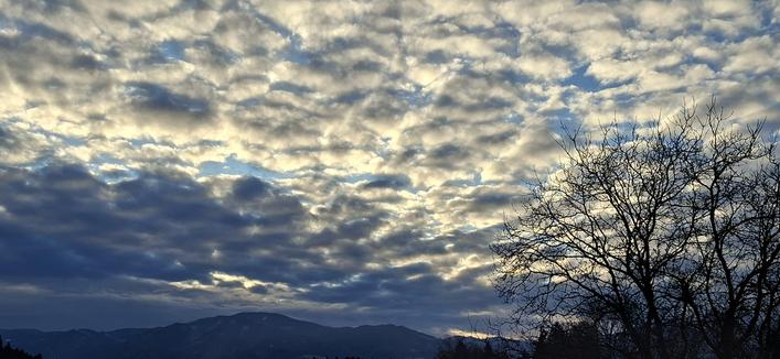 Bewölkter himmel im morgenlicht mit nussbaum am rechten bildrand