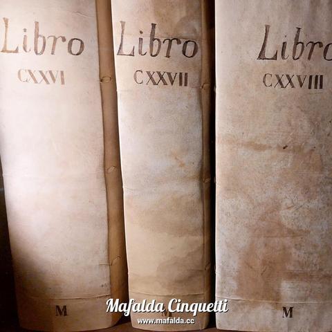 Buongiorno. Alma und ich hatten gestern im Museo Correr unseren Spaß. Denn das sieht fast aus, wie Lucias Bücherschrank. Buch 1, Buch 2, Buch 3 ... Saluti, Mafalda Cinquetti aus #Venedig 