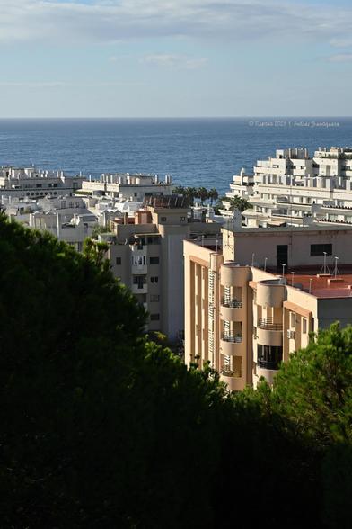 Imagen vertical donde cielo y mar se ven en la parte superior. Aparecen edificios de la ciudad y una sombra en diagonal desde la mitad izquierda a la esquina inferior de la derecha, que son copas de árboles.