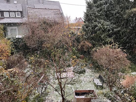 Puderzuckeriger Garten/Hausdach